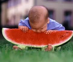 Dziecko jedzące arbuza na trawie